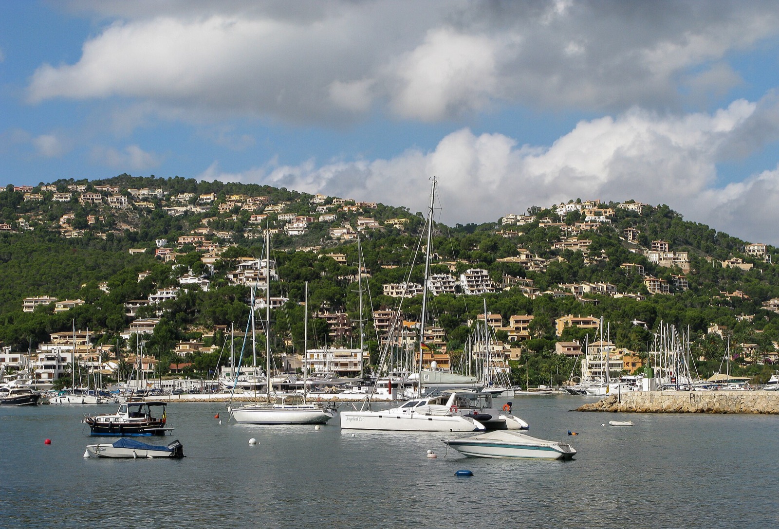 Boats in the harbour at Port d’Andratx, with villas on the hills behind